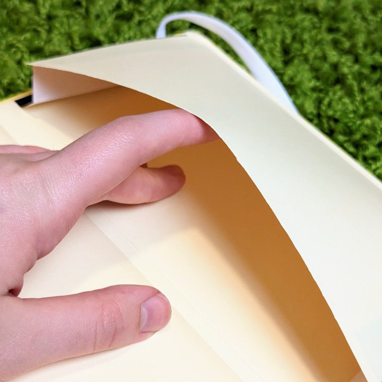 Split Gum Ball Clown Sketchbook