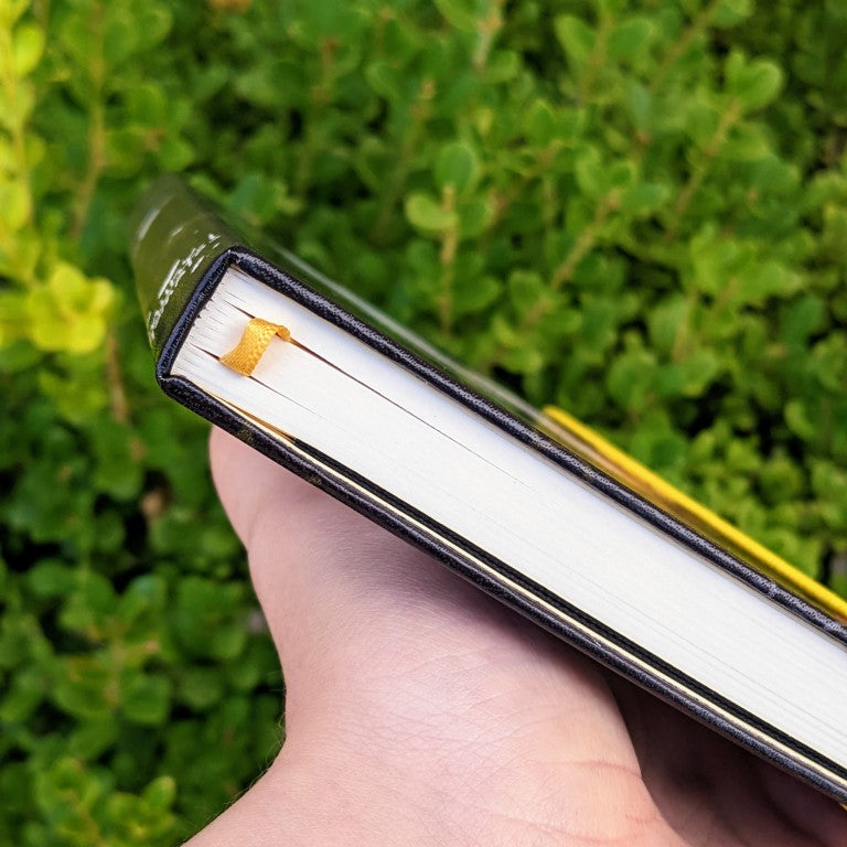 Space Ghost Duo Sketchbook