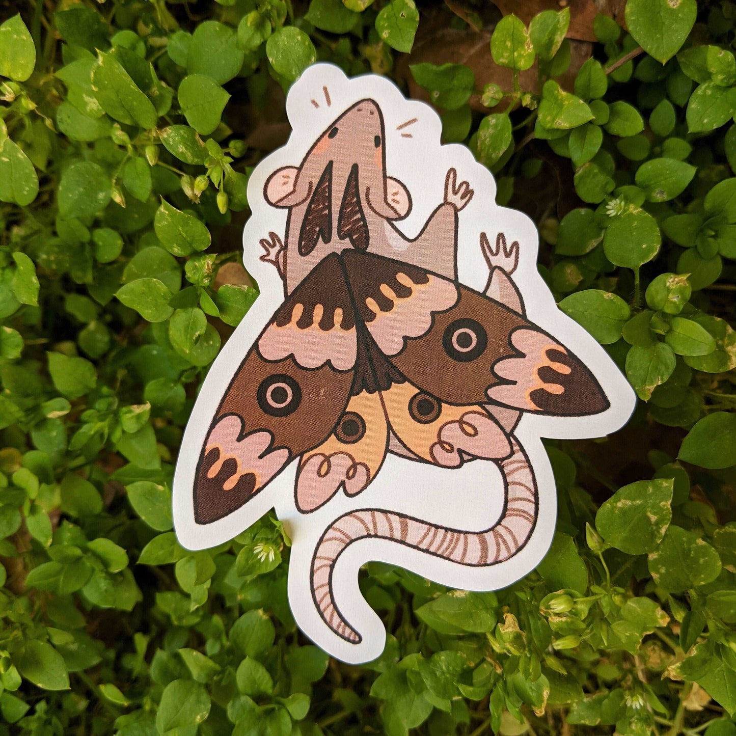 Rat Bug Stickers!