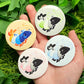 Shrimp Pride Flag Buttons
