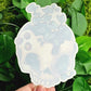 Plant Skull Window Sticker!