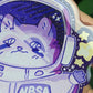 Space Raccoons Sparkly Keychains!