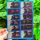 Wandering Eyes Mini Prints 7x5