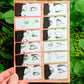 Wandering Eyes Mini Prints 7x5