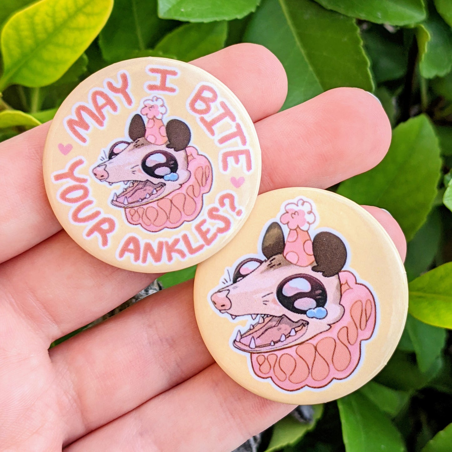 Party Opossum Buttons