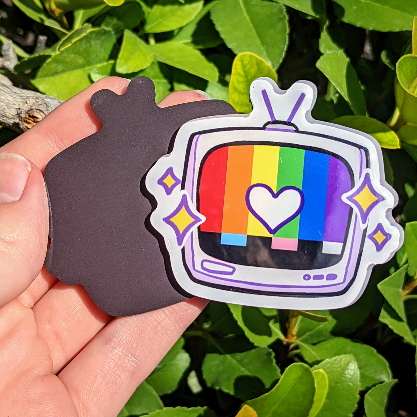 Rainbow TV Magnet
