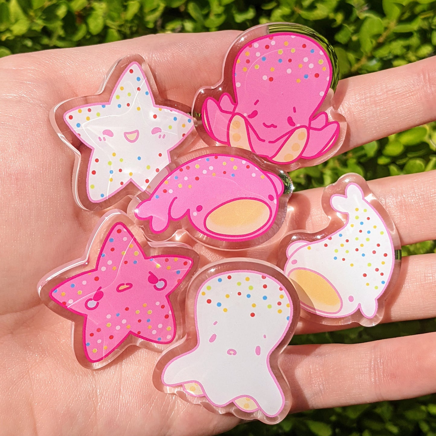 Cute Sea Cookie Acrylic Pins 1.5in