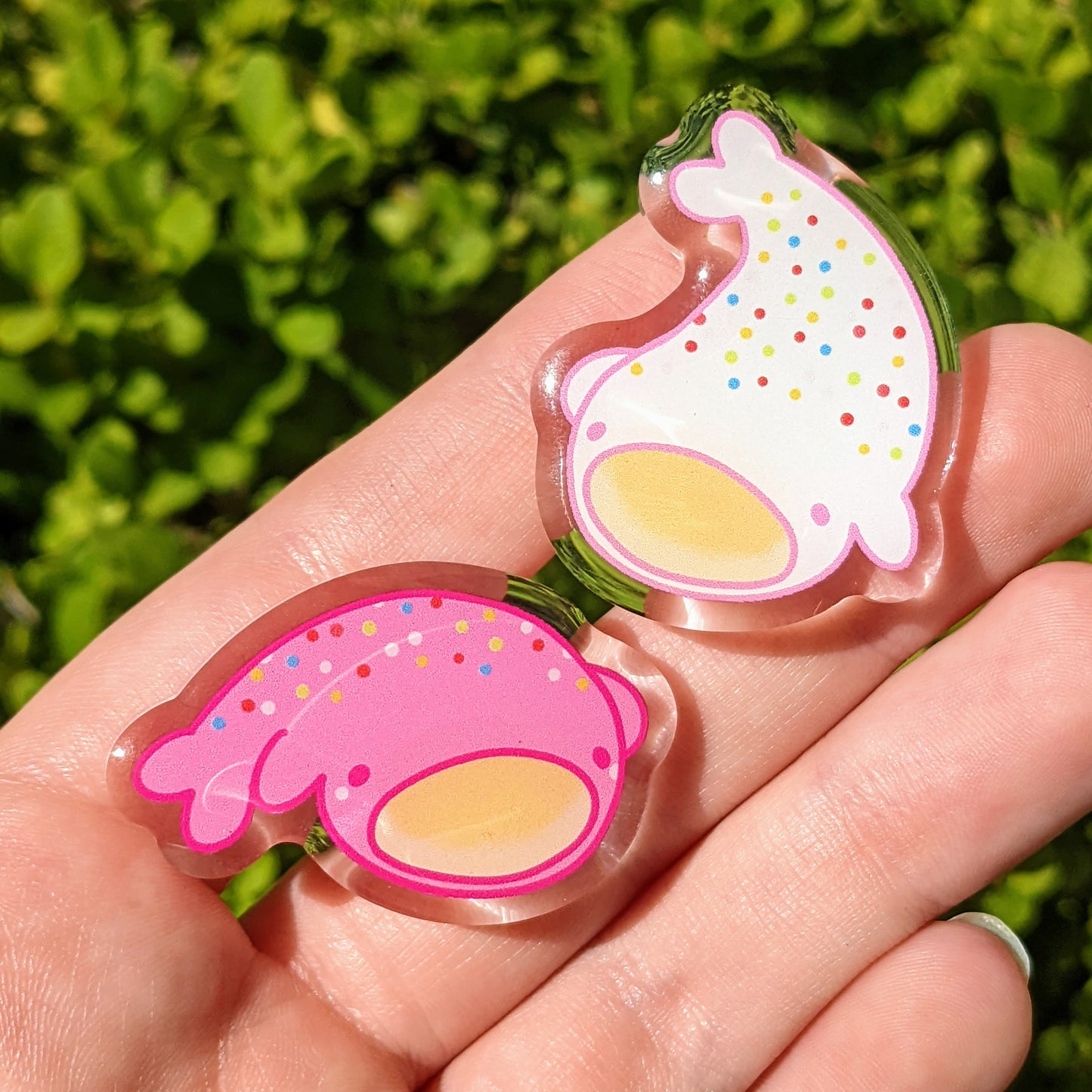 Cute Sea Cookie Acrylic Pins 1.5in