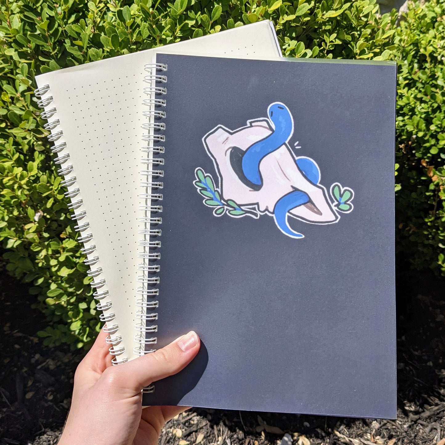 Snakes and Skulls Notebooks