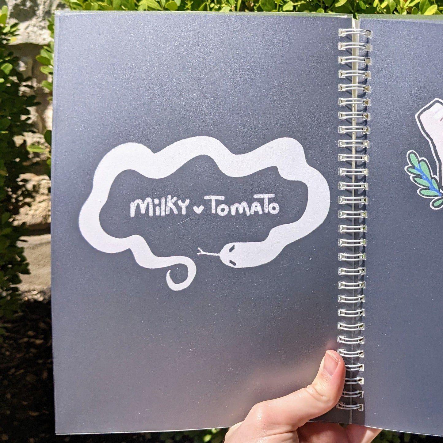 Snakes and Skulls Notebooks
