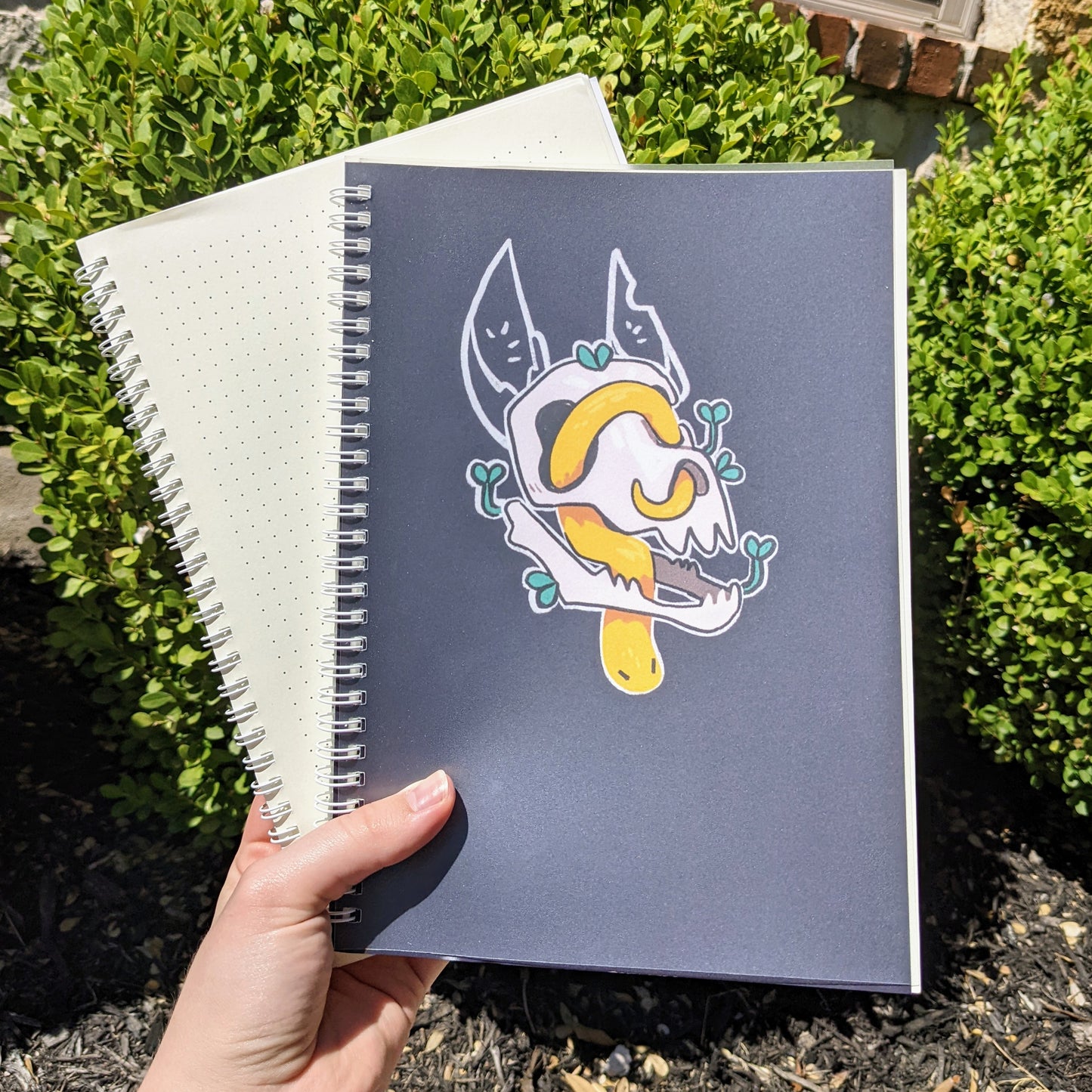 Snakes and Skulls Notebooks