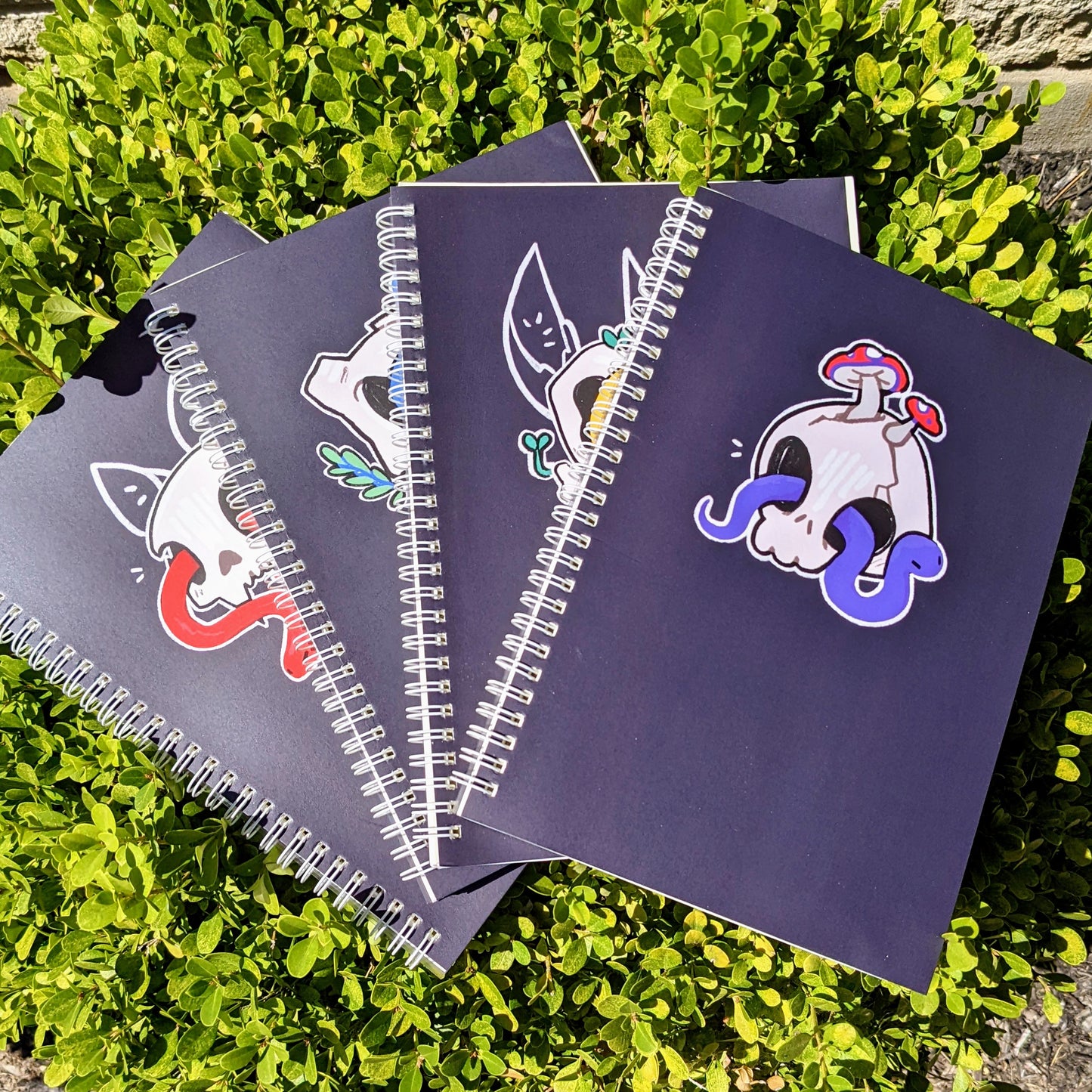 Snakes and Skulls Notebooks