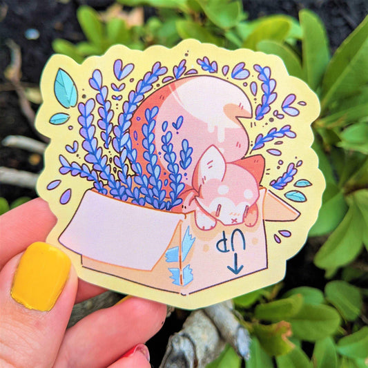 Fox Box Sticker!